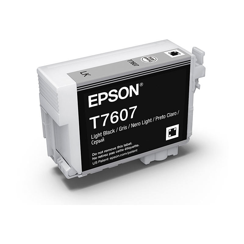 EPSON C13T760700 760 LIGHT BLACK INK CARTRIDGE